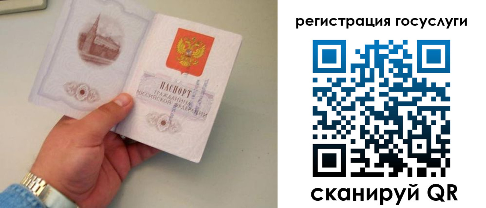 прописка регистрация в Нововоронеже